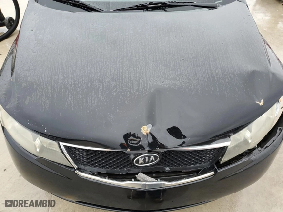 2010 Kia Forte EX with VIN KNAFU4A24A5109987, listed as a Copart auction lot 46088945 with 217,350 mi miles and Salvage Title. Bid and sale history available at carsss.com. Image 12.