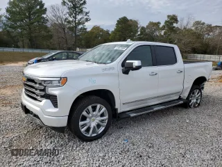 2024 Chevrolet Silverado 1500 High Country with VIN 1GCUDJE81RZ357299, listed as a Copart auction lot 41667695 with 8,193 mi miles and Salvage Title. Bid and sale history available at DreamBid. Image 1.