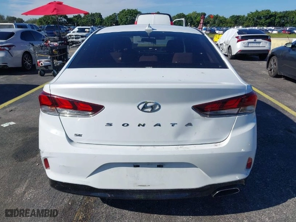 2019 Hyundai Sonata SE with VIN 5NPE24AF7KH791014, listed as a IAAI auction lot 41151136 with 101,469 mi miles. Bid and sale history available at carsss.com. Image 16.