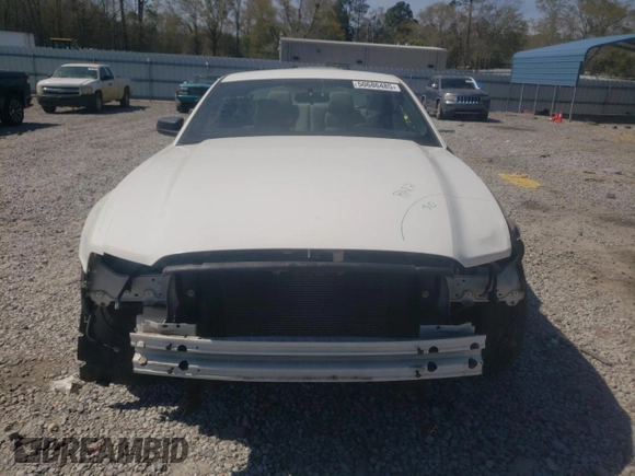 2013 Ford Mustang V6 with VIN 1ZVBP8AM2D5223442, listed as a Copart auction lot 50686485 with 113,422 mi miles and Salvage Title. Bid and sale history available at carsss.com. Image 5.