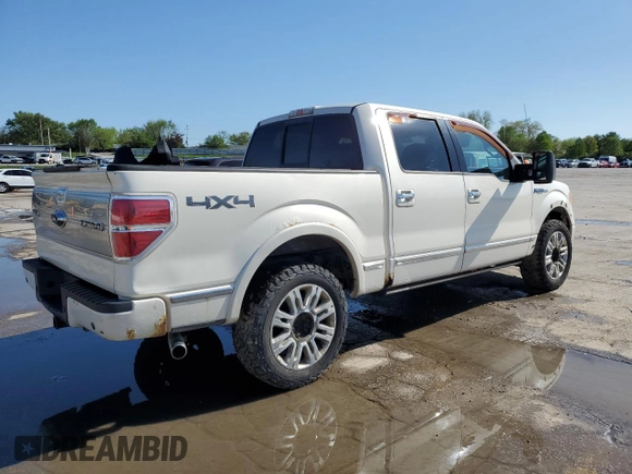 2009 Ford F-150 XL with VIN 1FTPW14V19FB17234, listed as a Copart auction lot 53957085 with 0 mi miles and Salvage Title. Bid and sale history available at carsss.com. Image 3.