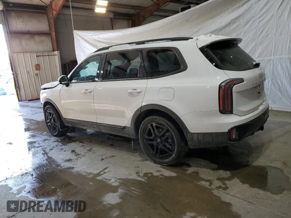 2024 Kia Telluride SX Prestige X-Line с VIN 5XYP5DGC3RG483384, выставлен на аукционе Copart как лот 41913045 с пробегом 13 462 миль миль и Списание • Salvage title. История ставок и продаж доступна на DreamBid. Изображение 2.