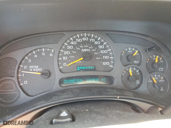 2003 Chevrolet Silverado 1500 LS with VIN 2GCEK19V431254033, listed as a Copart auction lot 49028505 with 163,032 mi miles and Clean Title. Bid and sale history available at carsss.com. Image 9.