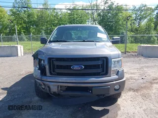 2013 Ford F-150 XL with VIN 1FTEX1EM9DFC99848, listed as a IAAI auction lot 42297022 with 175,466 mi miles and . Bid and sale history available at DreamBid. Image 12.