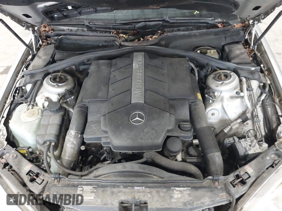 2002 Mercedes-Benz S 5.0L with VIN WDBNG75J22A283234, listed as a IAAI auction lot 42191291 with Not Provided miles. Bid and sale history available at carsss.com. Image 10.