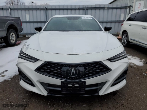 2023 Acura TLX w/A-Spec Package with VIN 19UUB6F54PA800503, listed as a Copart auction lot 50243915 with 0 mi miles and Clean Title. Bid and sale history available at carsss.com. Image 5.