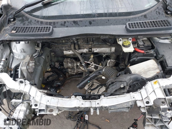 2013 Ford Escape SEL with VIN 1FMCU9H92DUA90495, listed as a IAAI auction lot 41780306 with 139,979 mi miles. Bid and sale history available at carsss.com. Image 10.