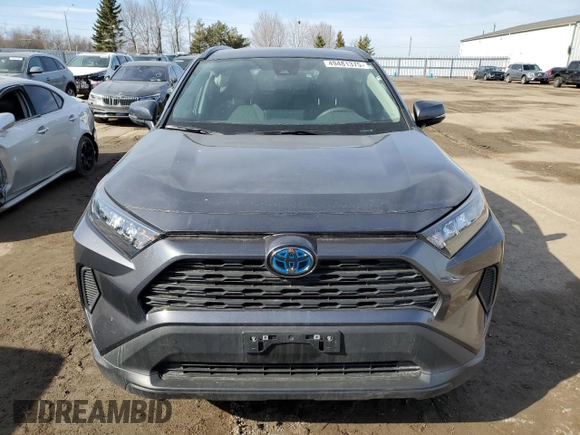 2024 Toyota RAV4 Hybrid XLE Premium with VIN 2T3BWRFV9RW231972, listed as a Copart auction lot 49481375 with 19,491 mi miles and Clean Title. Bid and sale history available at DreamBid. Image 5.