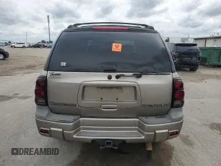 2002 Chevrolet TrailBlazer LS with VIN 1GNDS13S022475449, listed as a Copart auction lot 73030844 with 316,163 mi miles and Salvage Title. Bid and sale history available at DreamBid. Image 6.