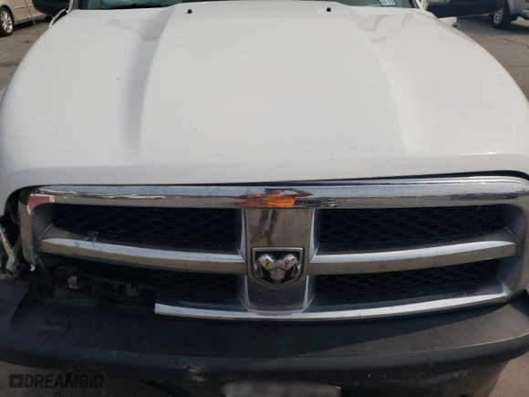 2010 Dodge Ram 1500 SLT with VIN 1D7RV1CT3AS263115, listed as a Copart auction lot 66958924 with 250,334 mi miles and Salvage Title. Bid and sale history available at carsss.com. Image 11.