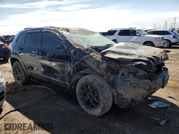 2022 Jeep Cherokee Trailhawk with VIN 1C4PJMBX9ND516418, listed as a Copart auction lot 49733765 with 55,624 mi miles and Salvage title. Bid and sale history available at DreamBid. Image 4.