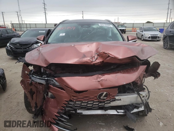 2023 Lexus RX with VIN 2T2BBMCAXPC002848, listed as a Copart auction lot 55516284 with 0 mi miles and Salvage Title. Bid and sale history available at carsss.com. Image 5.