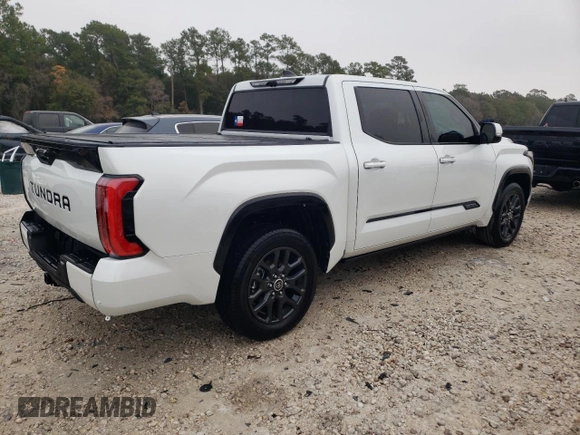 2022 Toyota Tundra 2WD Platinum with VIN 5TFNA5AB6NX003726, listed as a Copart auction lot 69110202 with 5,665 mi miles. Bid and sale history available at carsss.com. Image 3.