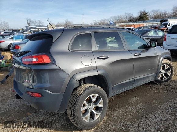 2014 Jeep Cherokee Trailhawk with VIN 1C4PJMBS5EW160669, listed as a Copart auction lot 82000703 with Not provided miles and Salvage title. Bid and sale history available at DreamBid. Image 3.