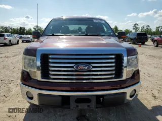 2010 Ford F-150 XL with VIN 1FTEW1C87AFD03660, listed as a Copart auction lot 53925855 with 252,174 mi miles and Clean Title. Bid and sale history available at DreamBid. Image 5.