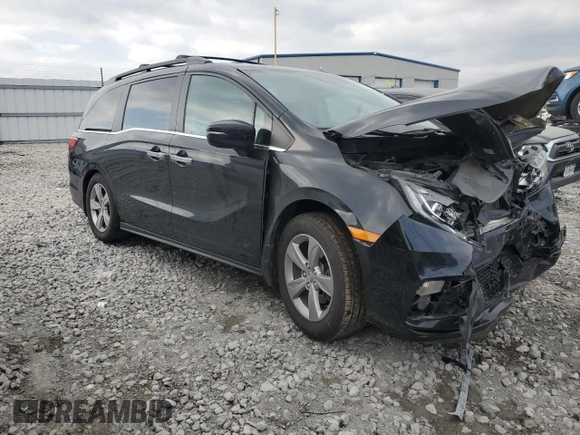 2019 Honda Odyssey EX-L with VIN 5FNRL6H70KB132716, listed as a Copart auction lot 52770195 with Not Provided miles and Salvage Title. Bid and sale history available at DreamBid. Image 4.