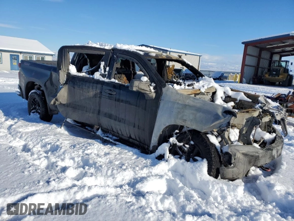 2021 Chevrolet Silverado 1500 Custom Trail Boss with VIN 1GCPYCEF3MZ249092, listed as a Copart auction lot 87238014 with Not Provided miles and Salvage Title. Bid and sale history available at DreamBid. Image 4.
