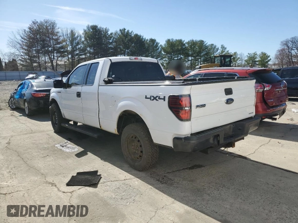 2014 Ford F-150 XL with VIN 1FTEX1EM1EKE25774, listed as a Copart auction lot 49317895 with 220,177 mi miles and Salvage Title. Bid and sale history available at carsss.com. Image 2.