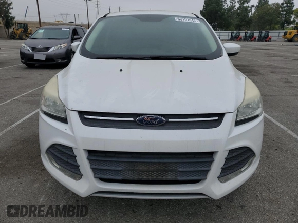 2014 Ford Escape SE with VIN 1FMCU0GX5EUD25338, listed as a Copart auction lot 53167645 with 171,443 mi miles and Clean Title. Bid and sale history available at carsss.com. Image 5.