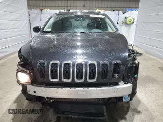 2014 Jeep Cherokee Limited with VIN 1C4PJMDS8EW250329, listed as a Copart auction lot 47022005 with 267,598 mi miles and Clean Title. Bid and sale history available at carsss.com. Image 5.