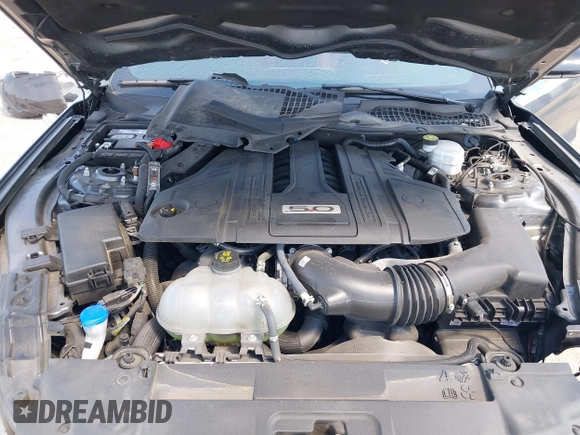 2023 Ford Mustang GT with VIN 1FA6P8CF4P5303774, listed as a IAAI auction lot 40209486 with 16,438 mi miles and . Bid and sale history available at DreamBid. Image 10.