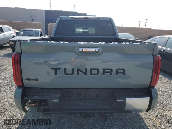 2023 Toyota Tundra Limited with VIN 5TFJA5DB6PX101006, listed as a Copart auction lot 59743765 with 10,342 mi miles and Salvage title. Bid and sale history available at DreamBid. Image 6.