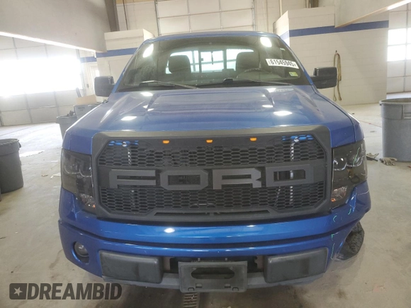 2010 Ford F-150 XL with VIN 1FTEX1CW1AFD49058, listed as a Copart auction lot 61545945 with 177,041 mi miles and Clean title. Bid and sale history available at DreamBid. Image 5.