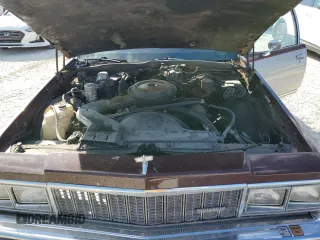 1979 Chevrolet Caprice with VIN 1N69L9J320518, listed as a Copart auction lot 78174914 with 49,981 mi miles and Non repairable. Bid and sale history available at DreamBid. Image 11.