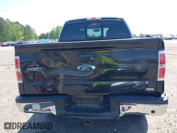 2010 Ford F-150 XL with VIN 1FTFW1EV5AFD48748, listed as a IAAI auction lot 42031274 with 195,898 mi miles. Bid and sale history available at carsss.com. Image 16.