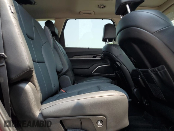 2023 Kia Telluride EX X-Line with VIN 5XYP3DGC4PG384995, listed as a Copart auction lot 59015745 with 32,084 mi miles and Clean title. Bid and sale history available at DreamBid. Image 11.