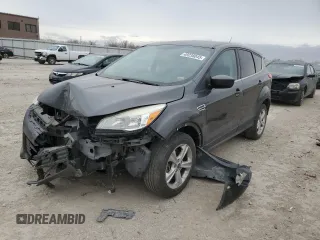 2015 Ford Escape SE with VIN 1FMCU0G90FUB61872, listed as a Copart auction lot 49238045 with 200,793 mi miles and Salvage Title. Bid and sale history available at carsss.com. Image 1.
