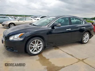 2010 Nissan Maxima SV with VIN 1N4AA5AP3AC851435, listed as a Copart auction lot 53489575 with 104,474 mi miles and Clean title. Bid and sale history available at DreamBid. Image 1.