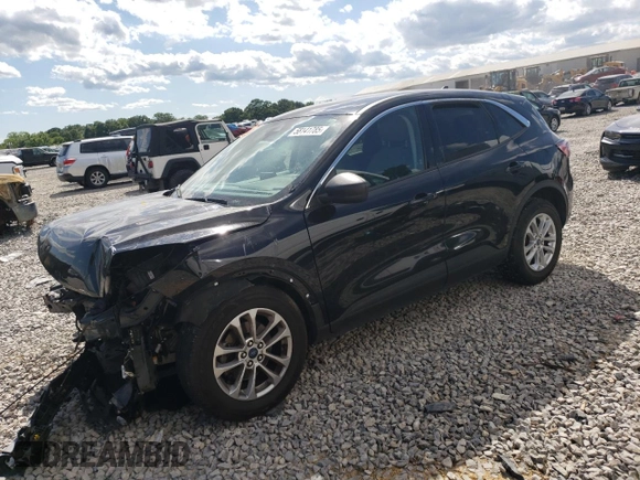 2022 Ford Escape SE with VIN 1FMCU0G69NUA48247, listed as a Copart auction lot 63770525 with Not provided miles and Salvage title. Bid and sale history available at DreamBid. Image 1.