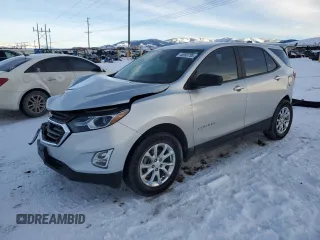 2020 Chevrolet Equinox LS with VIN 2GNAX5EVXL6203143, listed as a Copart auction lot 45993785 with Not provided miles and Salvage title. Bid and sale history available at DreamBid. Image 1.