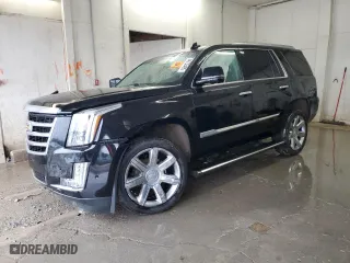 2018 Cadillac Escalade Premium Luxury with VIN 1GYS4CKJ9JR270856, listed as a Copart auction lot 44732495 with 0 mi miles and Salvage Title. Bid and sale history available at carsss.com. Image 1.