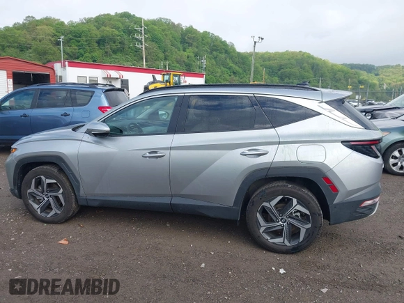 2024 Hyundai Tucson Limited with VIN 5NMJECDE1RH363885, listed as a IAAI auction lot 42204779 with 141,146 mi miles and . Bid and sale history available at DreamBid. Image 15.