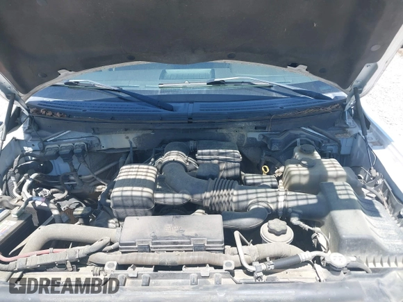 2010 Ford F-150 XL with VIN 1FTFW1EV3AKE16813, listed as a IAAI auction lot 41999051 with 206,457 mi miles. Bid and sale history available at carsss.com. Image 10.