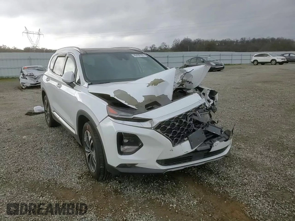 2019 Hyundai Santa Fe Ultimate with VIN 5NMS5CAA1KH073559, listed as a Copart auction lot 46430165 with 0 mi miles and Salvage Title. Bid and sale history available at carsss.com. Image 11.