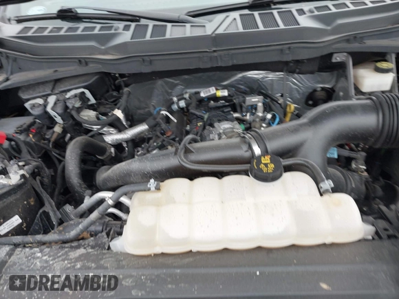 2021 Ford F-150 XL with VIN 1FTEW1EP9MKE37070, listed as a IAAI auction lot 41843951 with 69,679 mi miles and . Bid and sale history available at DreamBid. Image 10.