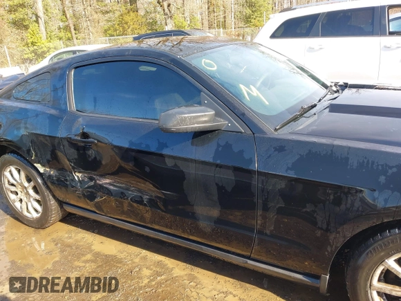 2011 Ford Mustang V6 with VIN 1ZVBP8AM5B5150824, listed as a IAAI auction lot 41539133 with 239,148 mi miles and . Bid and sale history available at carsss.com. Image 13.