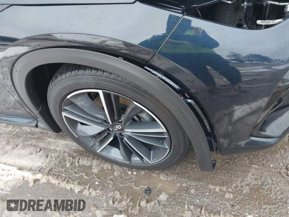 2025 Infiniti QX50 Sport with VIN 3PCAJ5FB2SF103397, listed as a IAAI auction lot 41566790 with 1,228 mi miles and . Bid and sale history available at DreamBid. Image 18.