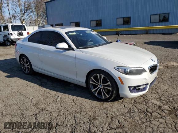 2016 BMW 2 Series 228i with VIN WBA1F9C59GV545896, listed as a Copart auction lot 42260055 with 68,755 mi miles and Salvage Title. Bid and sale history available at DreamBid. Image 4.
