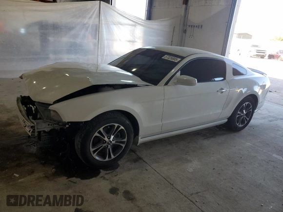 2014 Ford Mustang V6 with VIN 1ZVBP8AM4E5222570, listed as a Copart auction lot 57325885 with 207,535 mi miles and Salvage title. Bid and sale history available at DreamBid. Image 1.