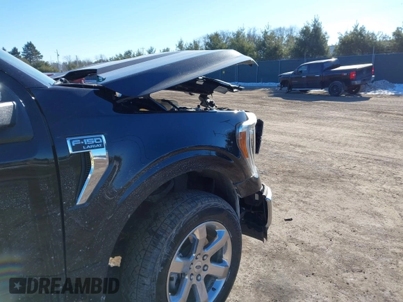 2023 Ford F-150 XL with VIN 1FTFW1E89PFC59073, listed as a IAAI auction lot 41420163 with 14,565 mi miles. Bid and sale history available at carsss.com. Image 6.