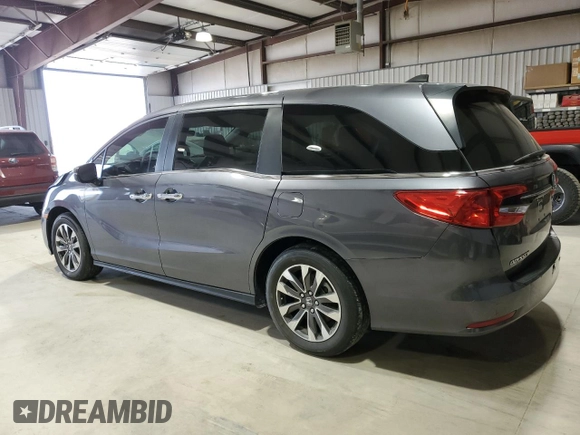 2024 Honda Odyssey EX-L with VIN 5FNRL6H69RB069598, listed as a Copart auction lot 53810215 with 5,789 mi miles and Salvage Title. Bid and sale history available at DreamBid. Image 2.
