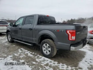 2016 Ford F-150 XLT with VIN 1FTEW1EF3GFB13004, listed as a Copart auction lot 46842095 with 171,971 mi miles and Salvage Title. Bid and sale history available at carsss.com. Image 2.
