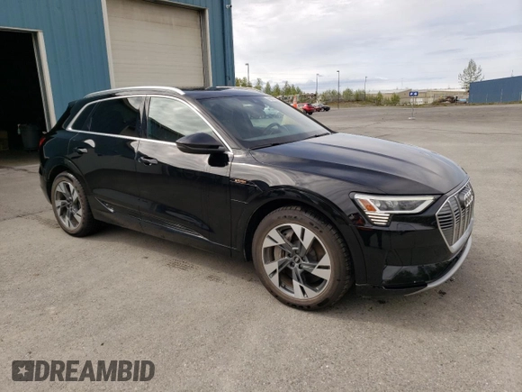 2022 Audi e-tron Premium z VIN WA1AAAGE3NB023710, wystawiony jako Copart lot #57508235 z przebiegiem 23 483 mil mil oraz Tytuł czysty. Historia ofert i sprzedaży dostępna na DreamBid. Obrazek 4.