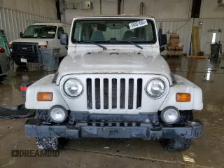 1999 Jeep Wrangler Sahara with VIN 1J4FY49S4XP428955, listed as a Copart auction lot 46001685 with 184,895 mi miles and Clean Title. Bid and sale history available at carsss.com. Image 5.