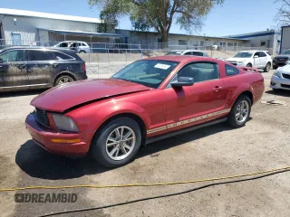 2005 Ford Mustang Deluxe with VIN 1ZVFT80N155171312, listed as a Copart auction lot 57504585 with 141,922 mi miles and Salvage title. Bid and sale history available at DreamBid. Image 1.