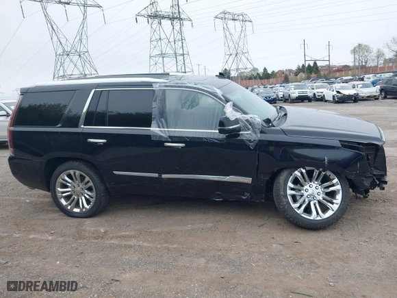 2019 Cadillac Escalade Premium Luxury with VIN 1GYS4CKJ5KR131129, listed as a IAAI auction lot 41983905 with 32,568 mi miles. Bid and sale history available at carsss.com. Image 14.